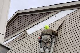 Historical Building Siding Restoration in Meadowbrook, VA